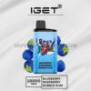 IGET Bar Pro 10000 Puffs Blueberry Raspberry Bubble Gum