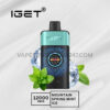 IGET One 12000 Puffs Mountainspring Mint Ice