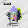 $CAMM AS 15000 Puffs Grape Ice